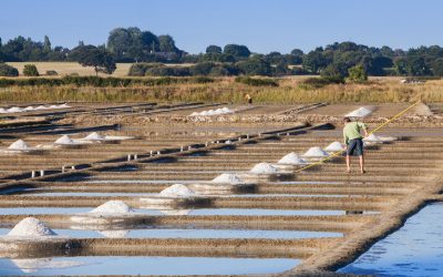 L’Atelier du sel : du soleil et du vent dans nos assiettes