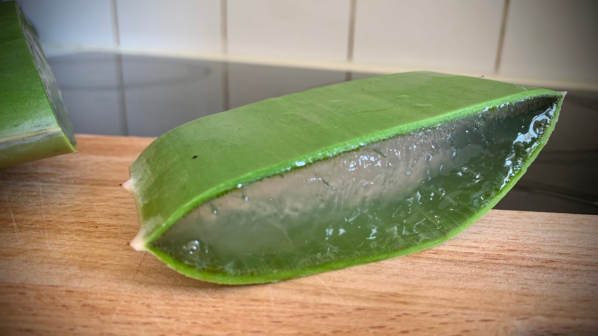 Tout savoir sur l’aloe vera